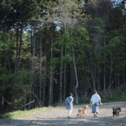 18)ezoraの裏山は散歩にちょうど良いです。