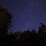 19)裏山から見上げた星空です。